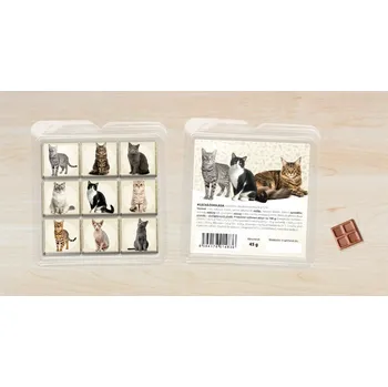 Cukrovinka CHOCOPOLA Čokoládové puzzle Kočky 45g