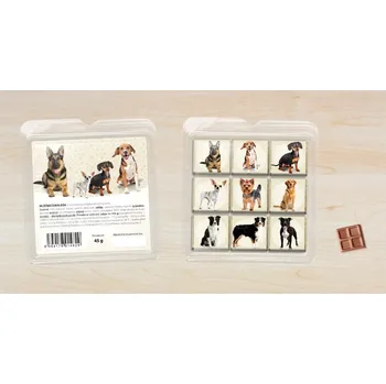 Cukrovinka CHOCOPOLA Čokoládové puzzle Psi 45g