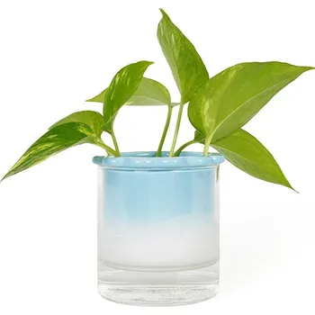 Váza Hydroponická váza Helio Ferretti Dalia 122487 vícebarevná MLC