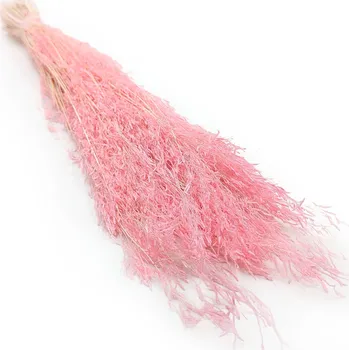 mech-mech.cz Sušená Třeslice (Briza Segromigno) - Růžové