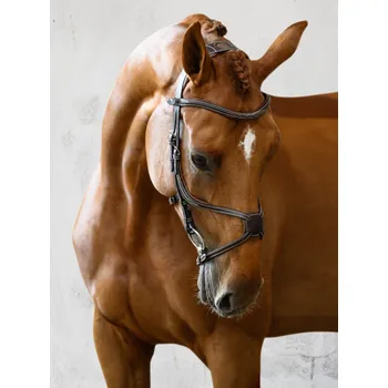 PS of Sweden Uzdečka Athens PS of Sweden, černá COB