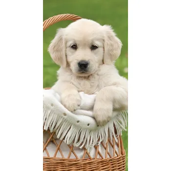 Osuška Osuška Štěně Labradora 70x140 cm (Osuška pes, pejsek, ručník s pejskem)