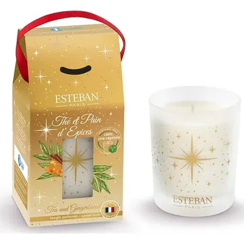 Svíčka Vonná svíčka Esteban Tea and Gingerbread 180 g ELN.153 vícebarevná MLC