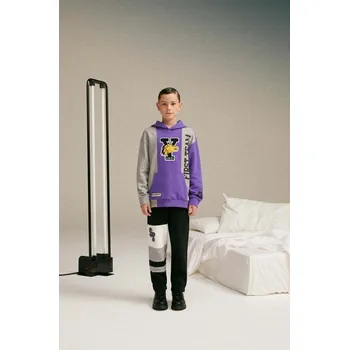 Chlapecká mikina Dětská bavlněná mikina Sisley fialová barva, s kapucí, s aplikací 3J68X200H.G.SEASONAL 45X, vel. 150