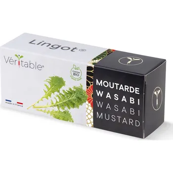 Semeno Véritable Lingot Wasabi hořčice listová - BIO