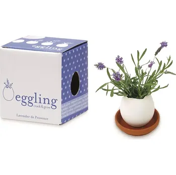 Květináč Sada pro pěstování rostlin Noted Eggling Lavender de Provence EG32 bílá 00X