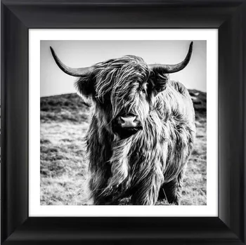 Obraz Reprodukce na zarámovaném papíře 50x50 cm 1533701.5478 vícebarevná MLC