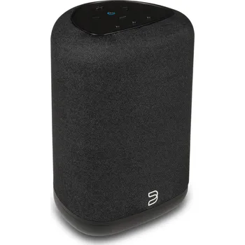 Bluesound PULSE FLEX Černá (Prémiový bezdrátový reproduktor)