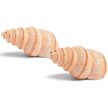 Kořenka Slánka a pepřenka &k amsterdam Shell 1799.18 oranžová 20X