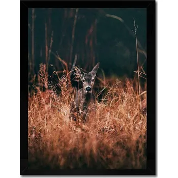 Obraz Reprodukce na plátně v rámu 154337 vícebarevná MLC