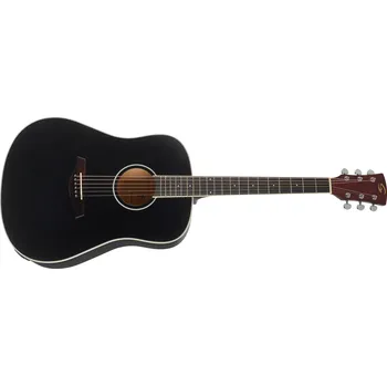 Akustická kytara Soundsation Meadow DN Black