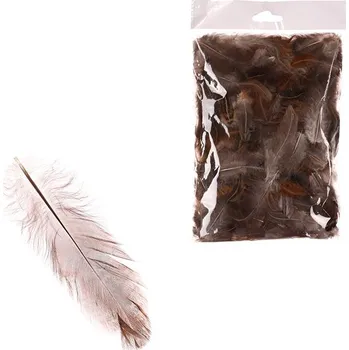 umělá květina Autronic Peří přírodní - na aranžování, hnědé, cena za balení (10 g), sada 10 ks