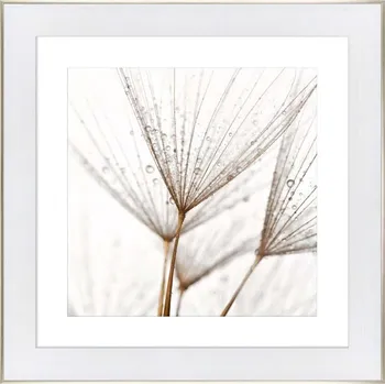 Obraz Reprodukce na zarámovaném papíře 50x50 cm 1533701.5116 vícebarevná MLC