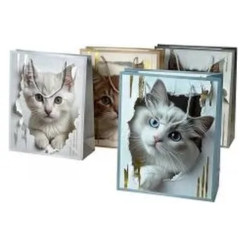 Dětské hřiště Torebka prezentowa kot 23x18x10cm MIX