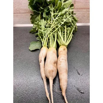 BIO ředkev Daikon s natí, min. 500 g