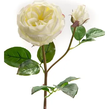 umělá květina Umělé květiny home & lifestyle 155853 vícebarevná MLC