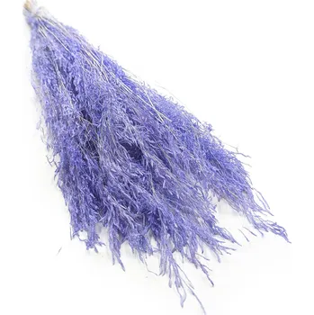 mech-mech.cz Sušená Třeslice (Briza Segromigno) - Levandulová