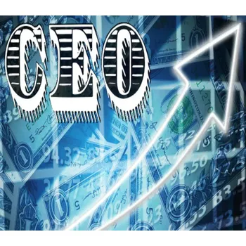 Počítačová hra CEO