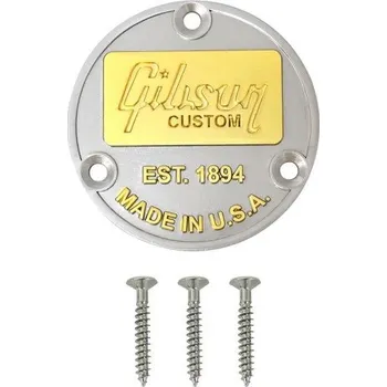 Klasická kytara Zadní kovový dekorativní kryt přepínače s nápisem EST.1894 MADE IN U.S.A. pro elektrickou kytaru Gibson stříbrná