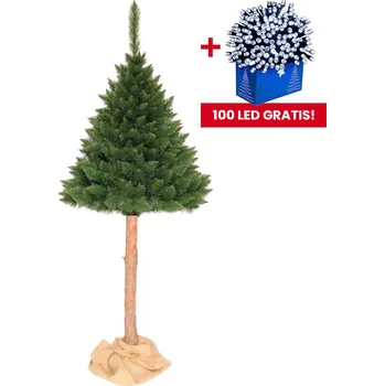 Vánoční stromek Krásný vánoční stromeček borovice s kmenem 220 cm