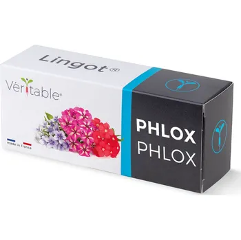 Sazenice Véritable Lingot Flox