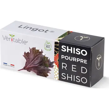 Pěstitelství Véritable Lingot Fialový shiso - BIO