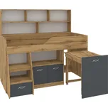 Patrová postel NAVIGATOR, 80 x 190 cm, s psacím stolem a regály Barva: dub tacho + antracit