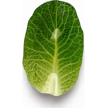 Mísa ve tvaru listu salátu pro servírování - ARIA FRESH, skleněná, zelená