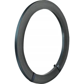 Stahovací páska SucceBuy Vázací páska, černá, délka 100 m, šířka 12,7 mm, nosnost 500 kg