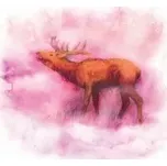 034 - Jelení síla 50 ml