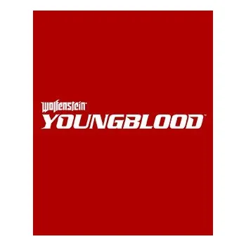 Počítačová hra ESD Wolfenstein Youngblood