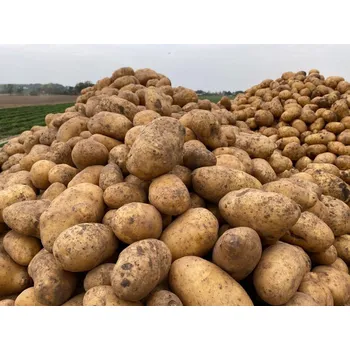 HANČ Vraňany Brambory konzumní k uskladnění 5 kg Odrůda: Fabiola (červ.)- var. typ A/B