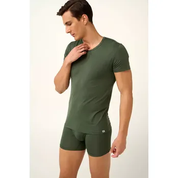 Pánské tričko Pánské tričko Vamp Micromodal s krátkým rukávem 22850 green ivy velikost M