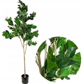 umělá květina UMĚLÝ FIKUS STROM 180 cm VELKÝ ROSTLINA JAKO ŽIVÁ REALISTICKÁ