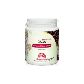 Přírodní produkt Superionherbs Čaga 90 kapslí