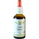 Salvia Paradise Hlíva ústřičná AF tinktura, 50 ml