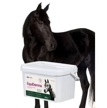 Lab-v EquiDerma - Doplňkové krmivo pro koně a poníky na podporu stavu kůže, srsti a kopyt 2kg
