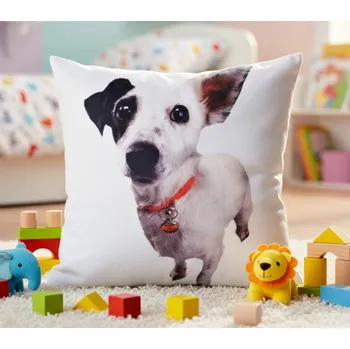 Polštář Dětský polštář PETS DOG 40x40 cm motiv A Varianta: Povlak na polštář, 40x40 cm