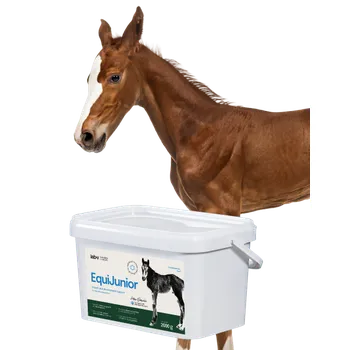 Lab-v EquiJunior Doplňkové krmivo pro hříbata na podporu růstu, vývoje a správné výživy mladých koní a poníků 2kg