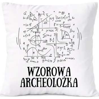 Obraz Bílý Polštář s potiskem fotografie PoliDraw pro architekta jako Dárek