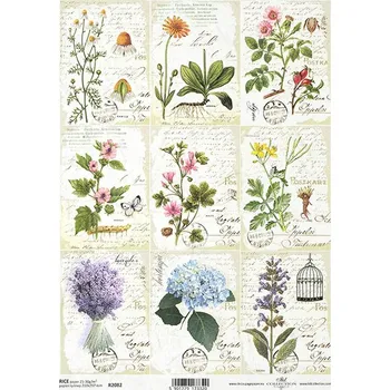 Umělecký papír Rýžový papír A4 R2082- bylinky