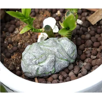 Schránka na klíče / atrapa kamene šedý s mechem (KAM4)