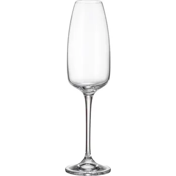 Sklenice Crystal Bohemia Crystalite Bohemia ANSER sklenice na šampaňské 290 ml / 6 ks