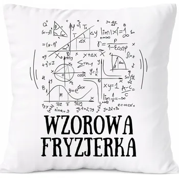 Obraz Dárek Polštář s motivem archeologa s potiskem bílý PoliDraw