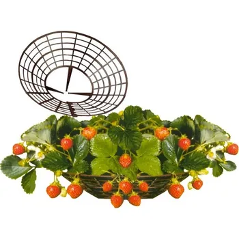 Zahradní obrubník Podložka pod jahody ¤17/33,5cm CZ