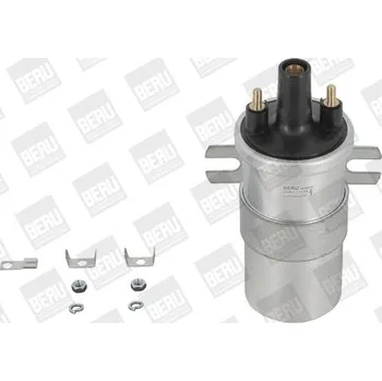 Zapalovací cívka Zapalovací cívka BorgWarner (BERU) ZS563