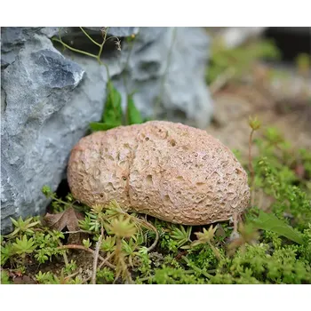 Schránka na klíče / atrapa kamene hnědý (KAM2)