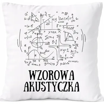 Obraz Bílý Polštář s potiskem fotografie PoliDraw pro architekta jako Dárek