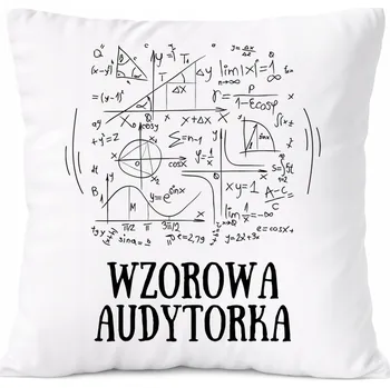 Obraz Bílý Polštář PoliDraw pro prodavače jako Dárek s potiskem