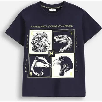 Chlapecké tričko Dětské bavlněné tričko Coccodrillo tmavomodrá barva, s potiskem, LICENCE BOY WARNER BROS ZC5143202LBW 59X, vel. 140